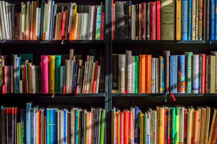 A selection of books on shelves in a library