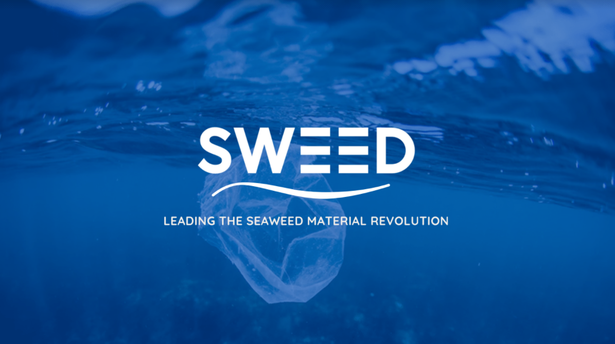 SWEED logo