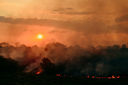 Sunset over a forest on fire