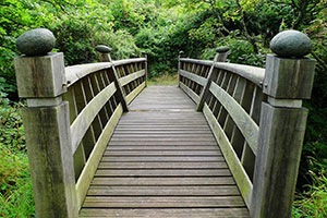 A wooden bridge leading across a ravine into woodlands.