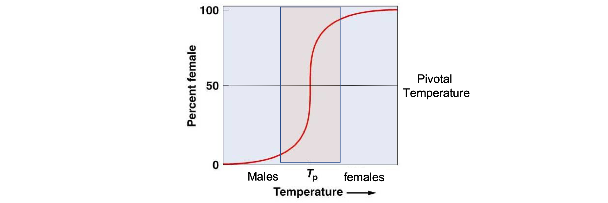 Sea turtle TSD mechanism with pivotal temperature.