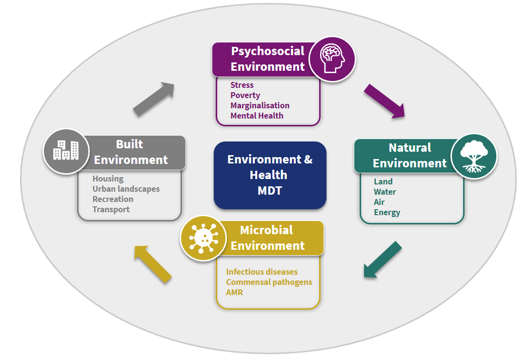 ENH MDT Sub-themes graphic