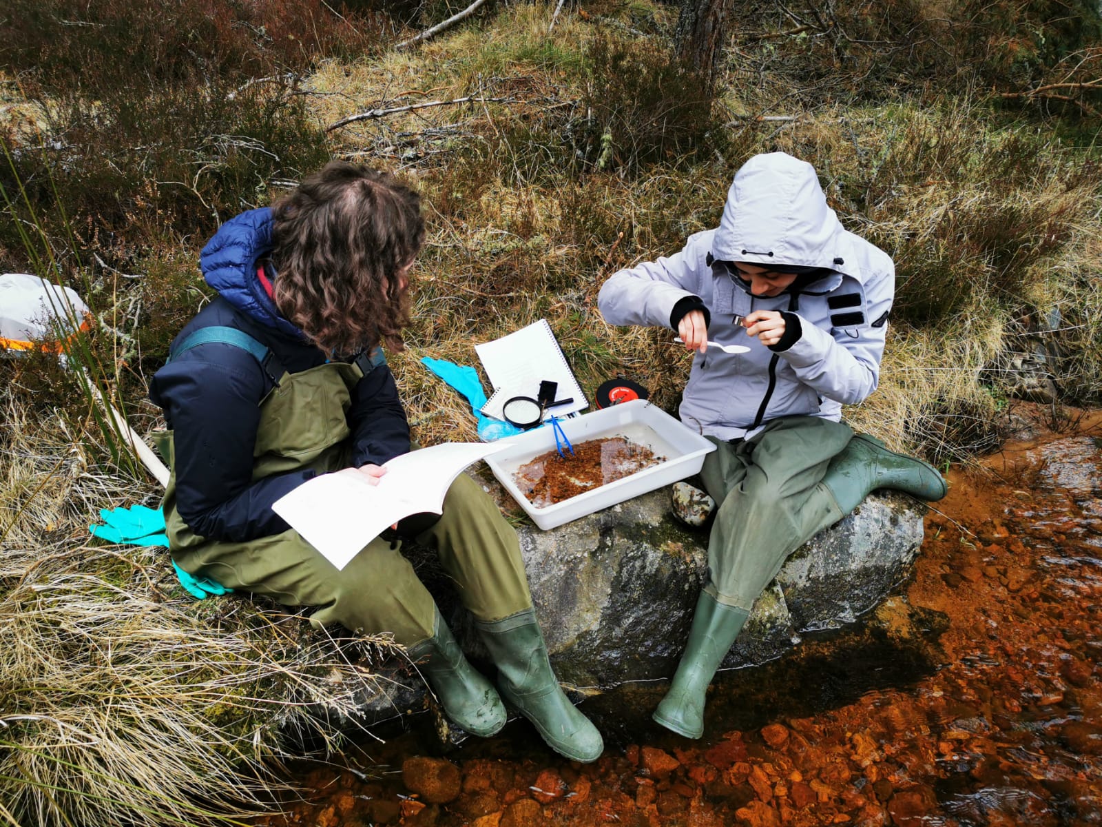 Laboratory Classes and Fieldwork