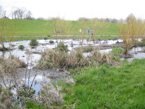 Sutcliffe Park, River Quaggy, South East London. Post-project appraisals have documented changes in river morphology, macrophyte cover, sediment and water quality (photo: G.Wharton)