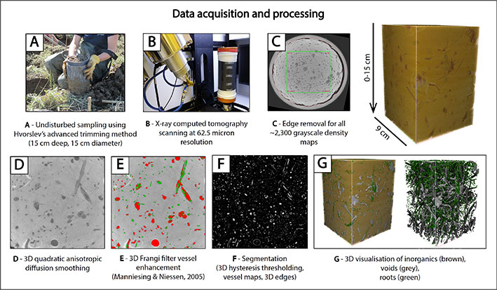 Figure 2: X-Ray Computed Tomography data acquisition and processing workflow for complex, heterogeneous, wet unconsolidated sediment from saltmarshes.