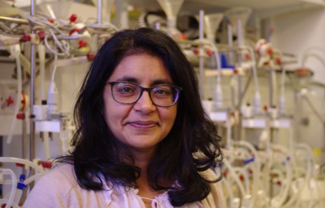 Professor Amrita Ahluwalia in the laboratory