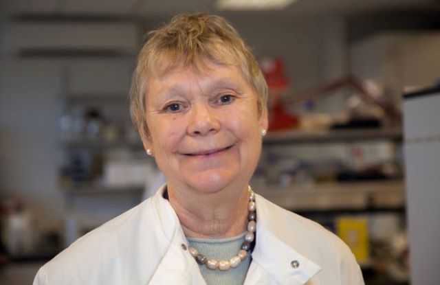 Professor Frances Balkwill in the laboratory