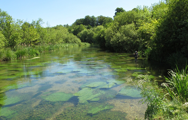 The river Itchen in Hampshire