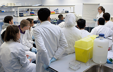 BCI STARS students watching a “Lightning Seminar” from one of the PhD student demonstrators.