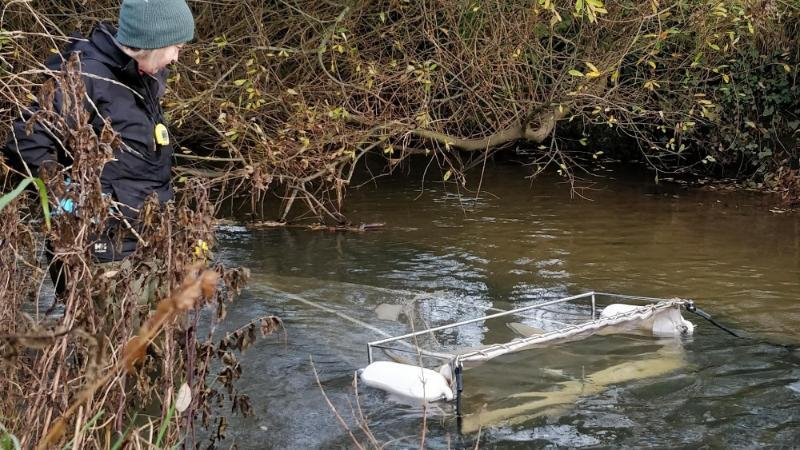 What’s in the water? Measuring the impact of plastic pollution