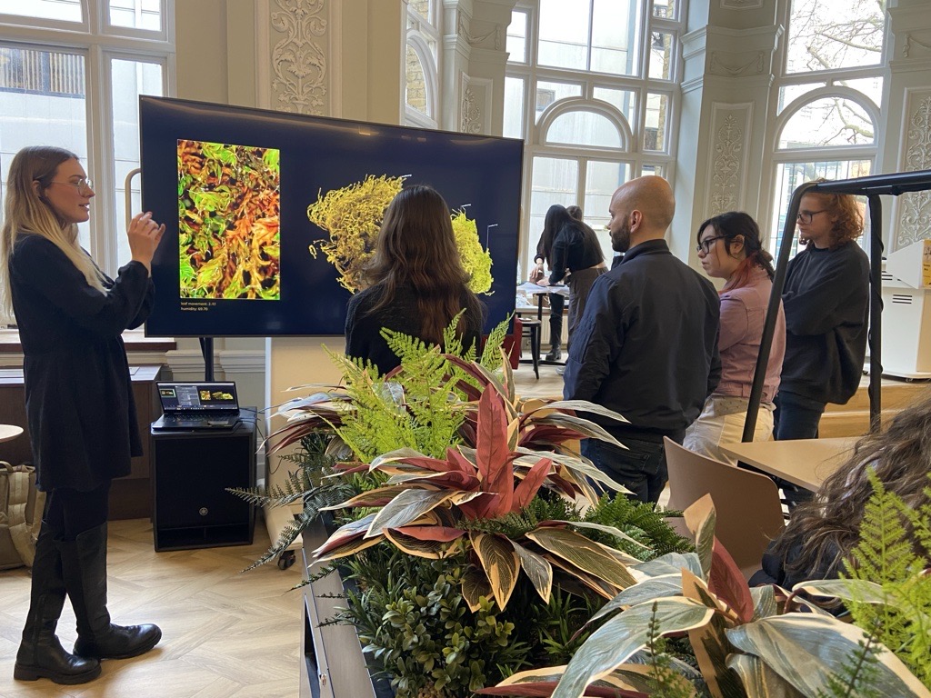 Students learning about Cabinet Cultures during a Climate Action Week presentation next to a cabinet full of plants.