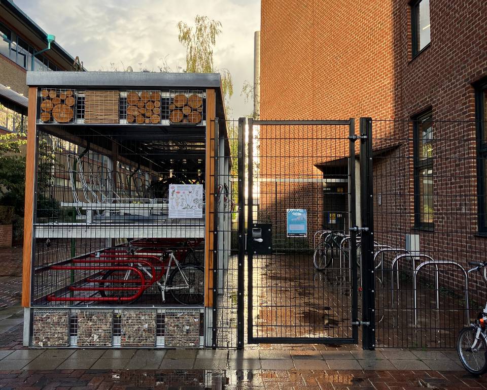 Eco friendly bike storage in front of Bancroft building