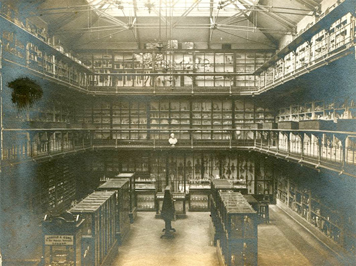 Barts Pathology Museum - photo courtesy of The Royal London Hospital Archives