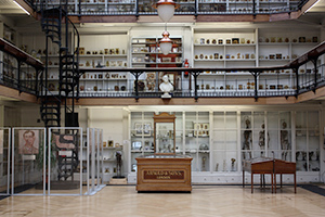 Barts Pathology Museum