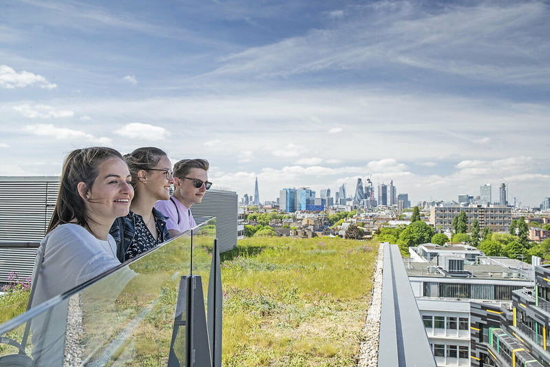 Three students look out from a building