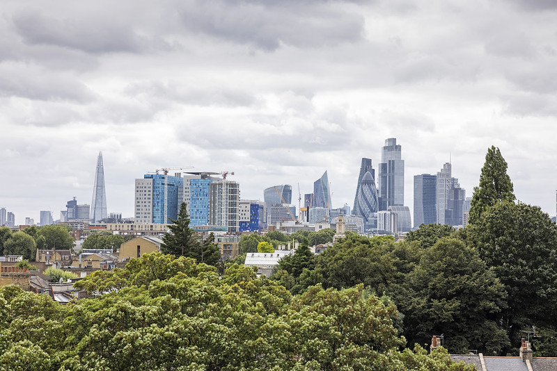 Trees in front of a cityscape