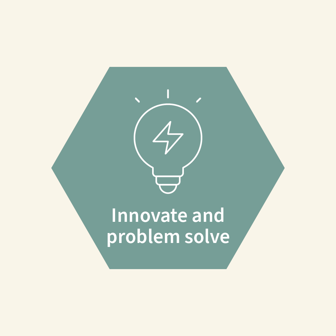 Innovate and problem solve