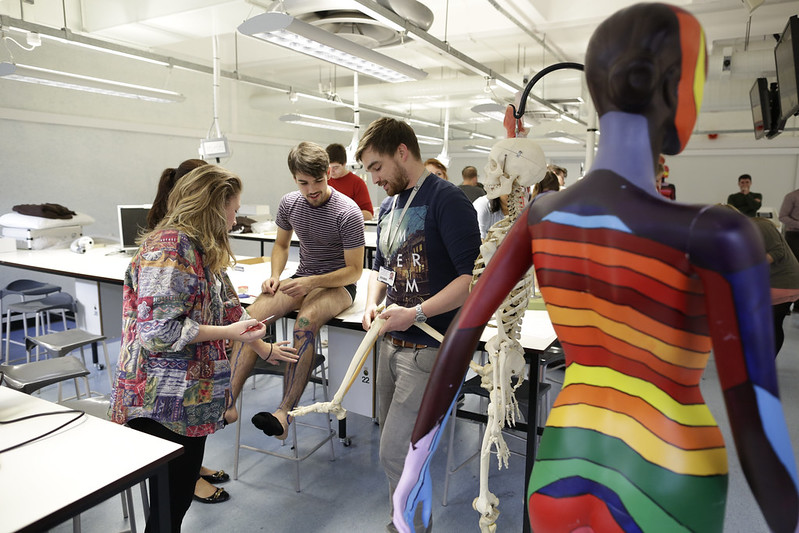 Students working together looking at a skeleton