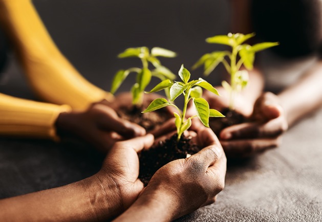 Three hands holding plants