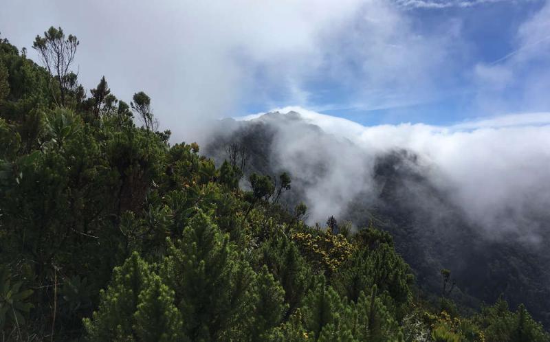 On the slopes of Mount Hanang, near to one of the mole-rat sites