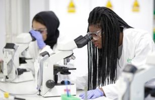 Two researchers working the lab using microscopes