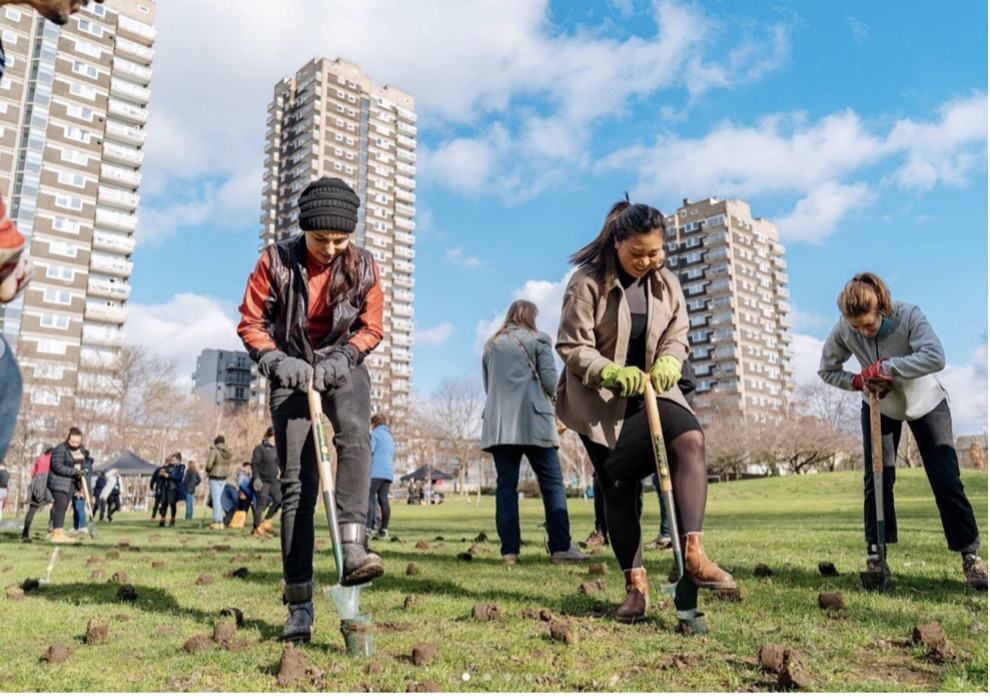 People digging outdoors