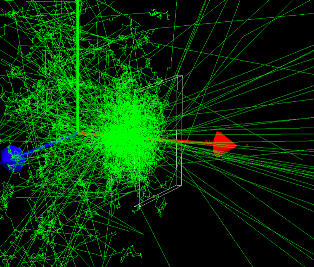 Detector Responce Simulation