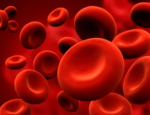 Red blood cells