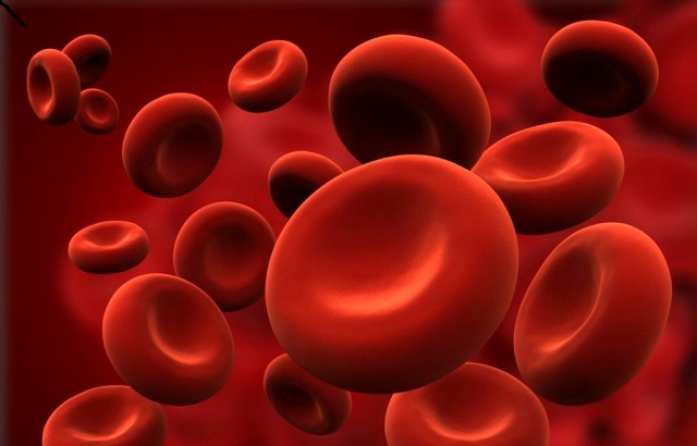 Red blood cells