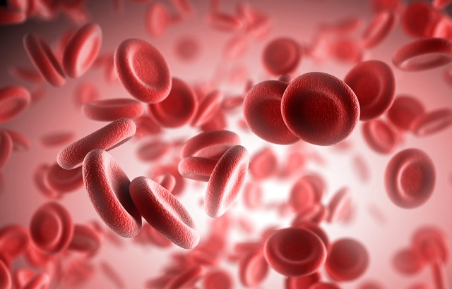 Blood cells