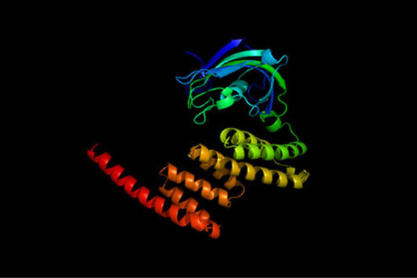 Endocrinology