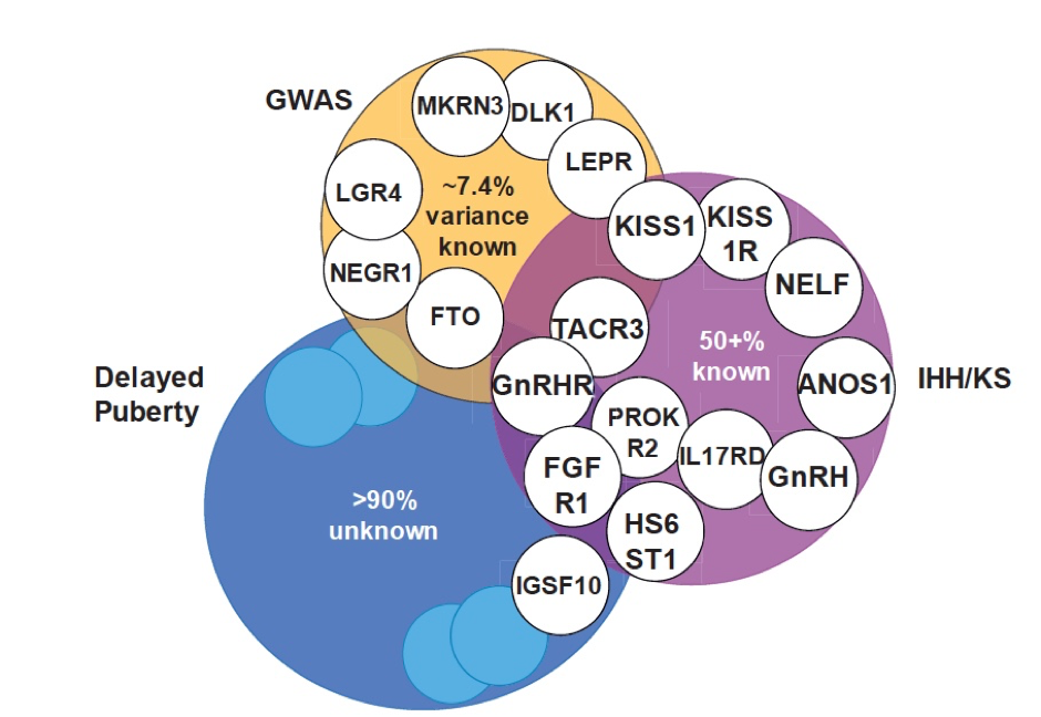 Overlap between genetic regulation of the timing of puberty in the general population and in patients